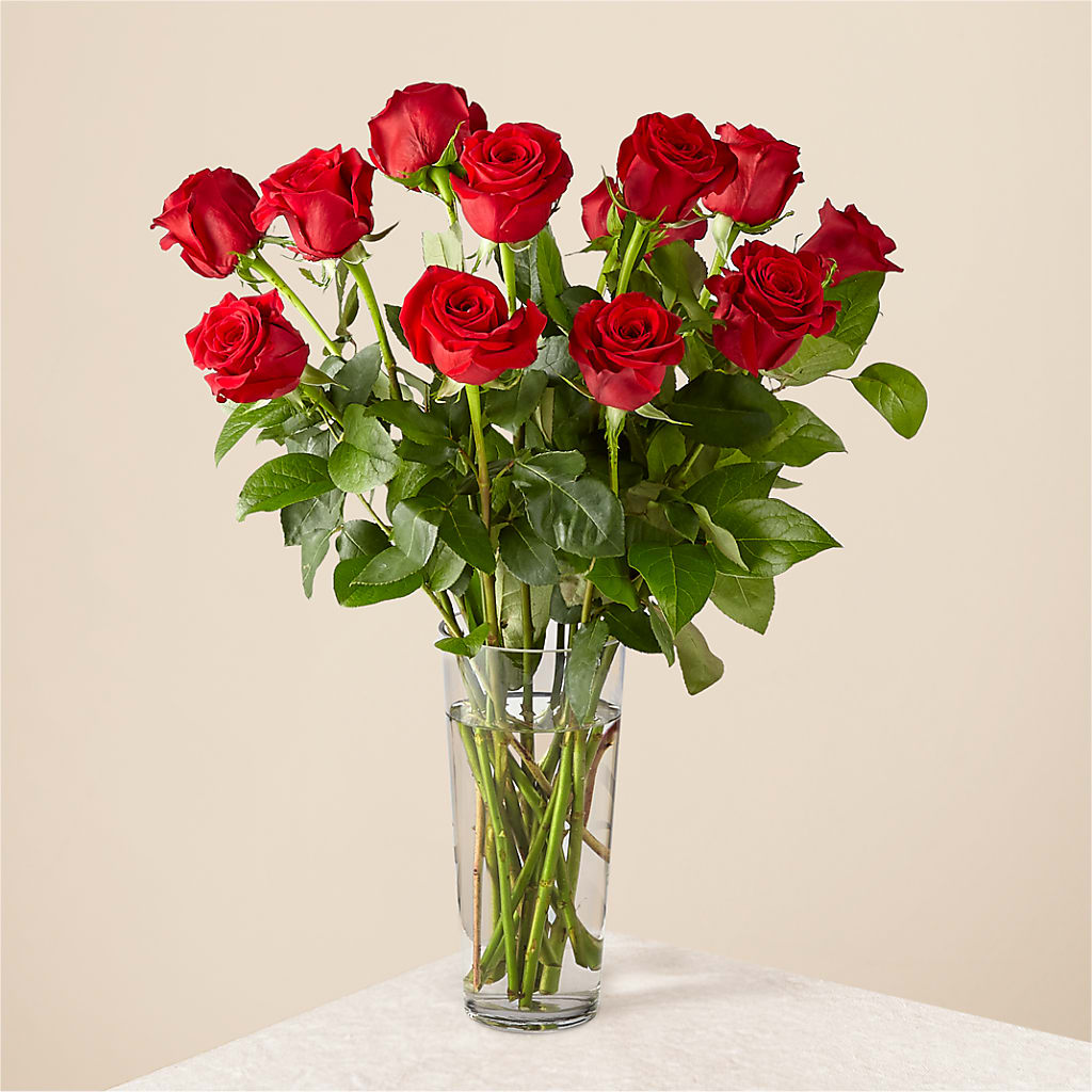 Long Stem Red Rose Bouquet – ROSEMARY & PEPPER FLOWER CO, Gaylord MI
