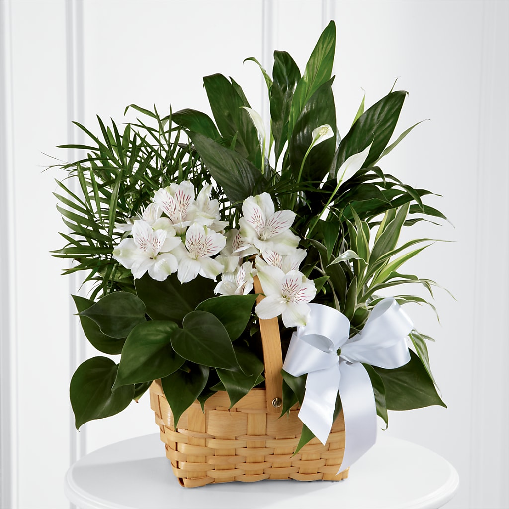 Peace & Serenity Dishgarden – ROSEMARY & PEPPER FLOWER CO, Gaylord MI