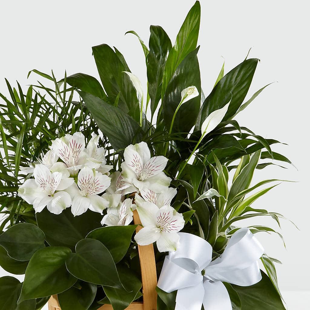 Peace & Serenity Dishgarden – ROSEMARY & PEPPER FLOWER CO, Gaylord MI