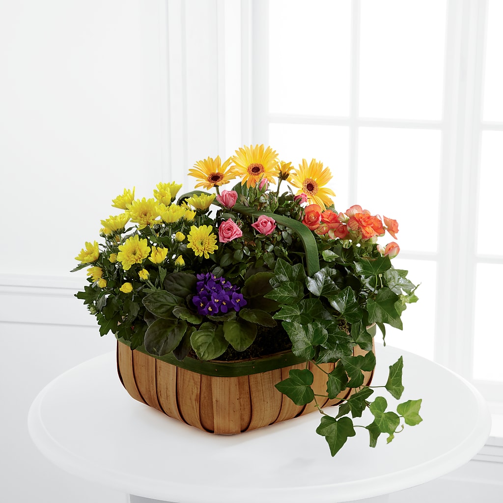 Gentle Blossoms Basket – ROSEMARY & PEPPER FLOWER CO, Gaylord MI
