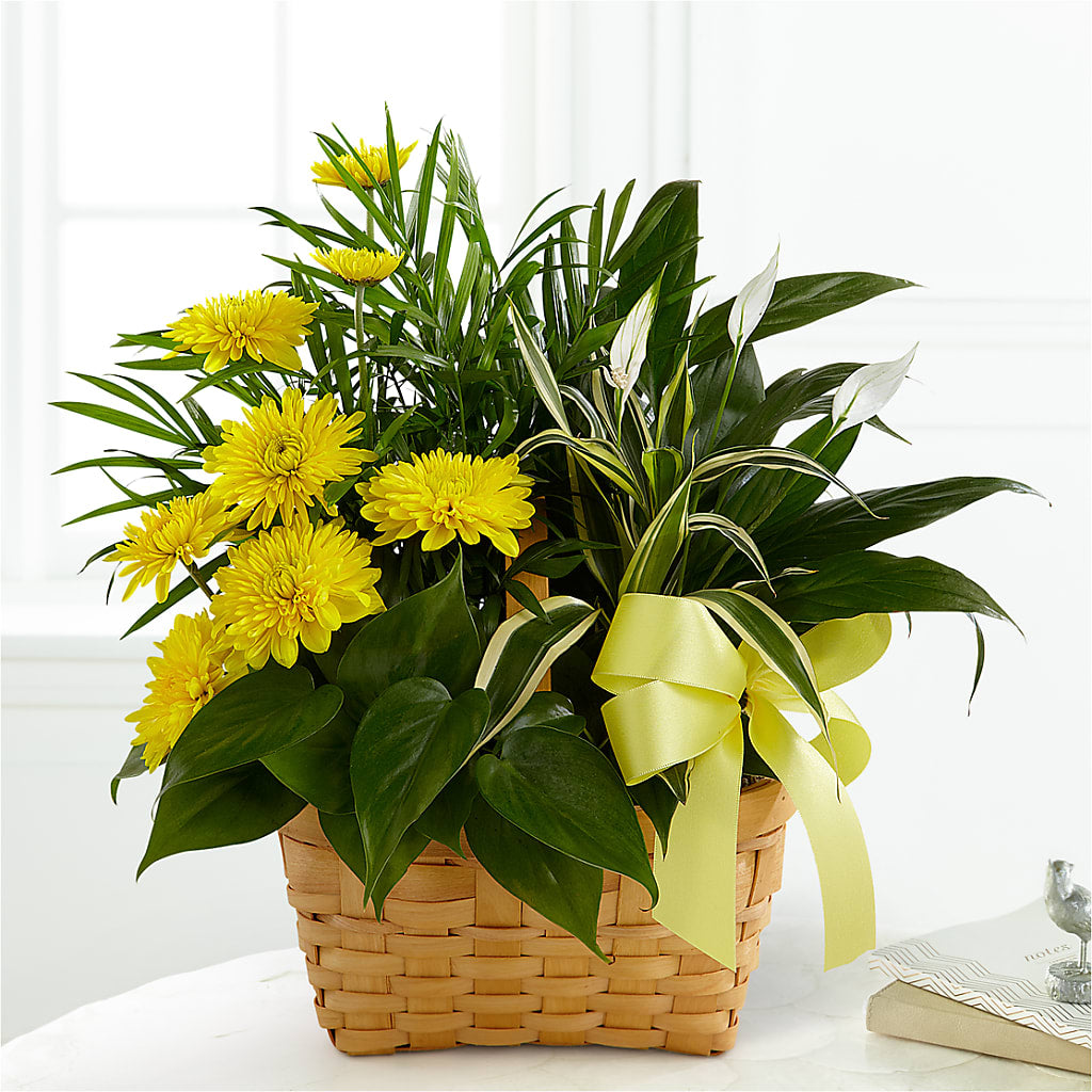 Loving Light Dishgarden – ROSEMARY & PEPPER FLOWER CO, Gaylord MI