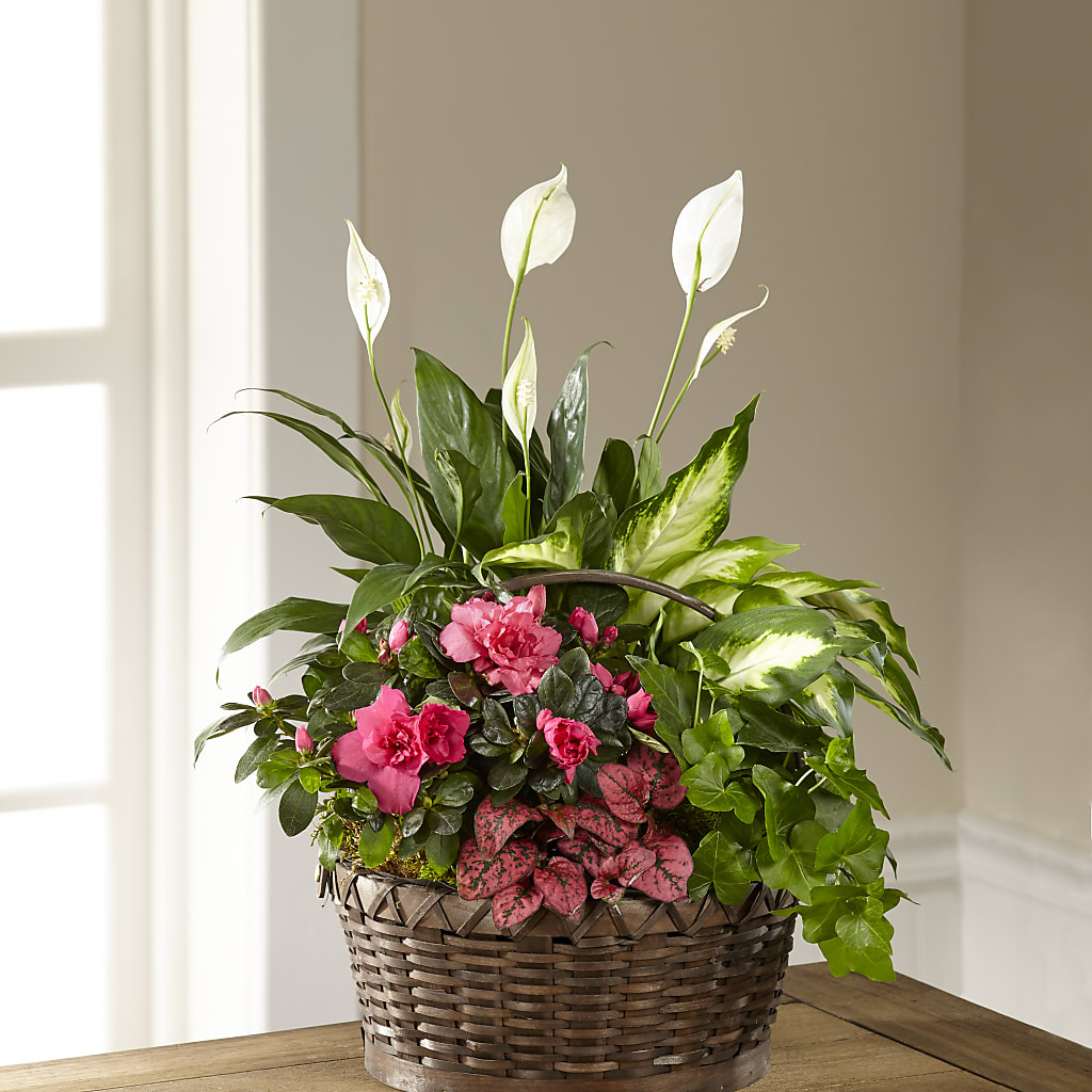 Dream in Pink Dishgarden – ROSEMARY & PEPPER FLOWER CO, Gaylord MI