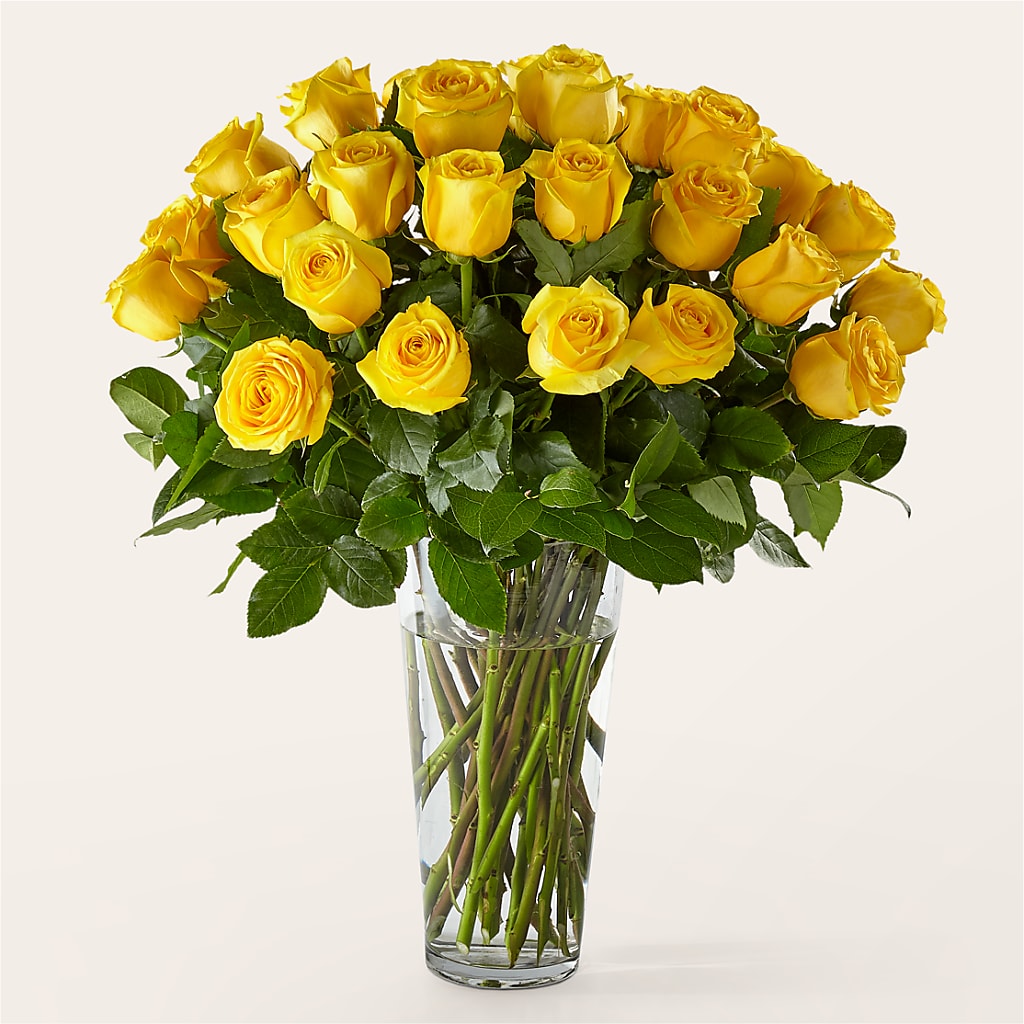 Long Stem Yellow Rose Bouquet – ROSEMARY & PEPPER FLOWER CO, Gaylord MI