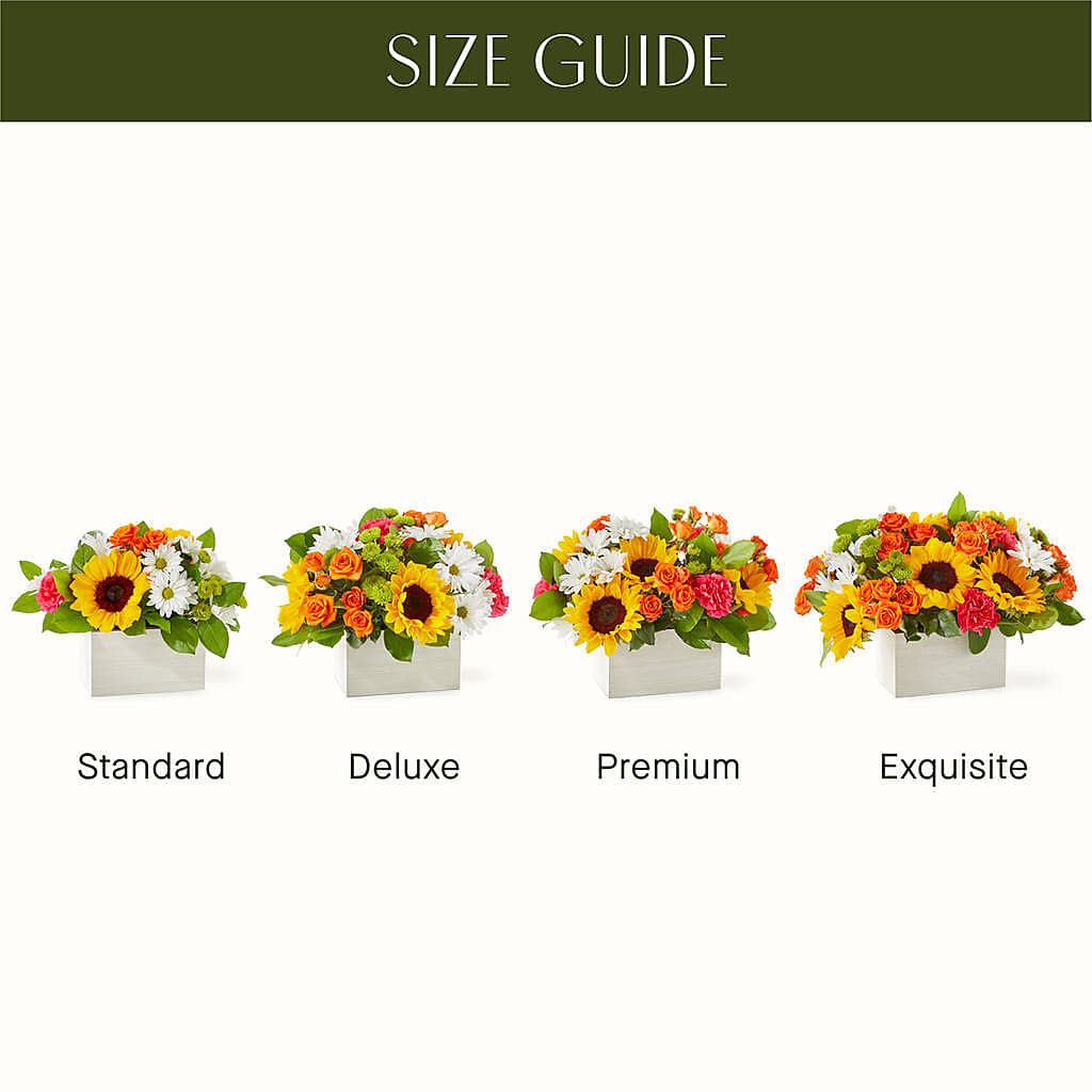 Sun-drenched Blooms Box Bouquet – ROSEMARY & PEPPER FLOWER CO, Gaylord MI