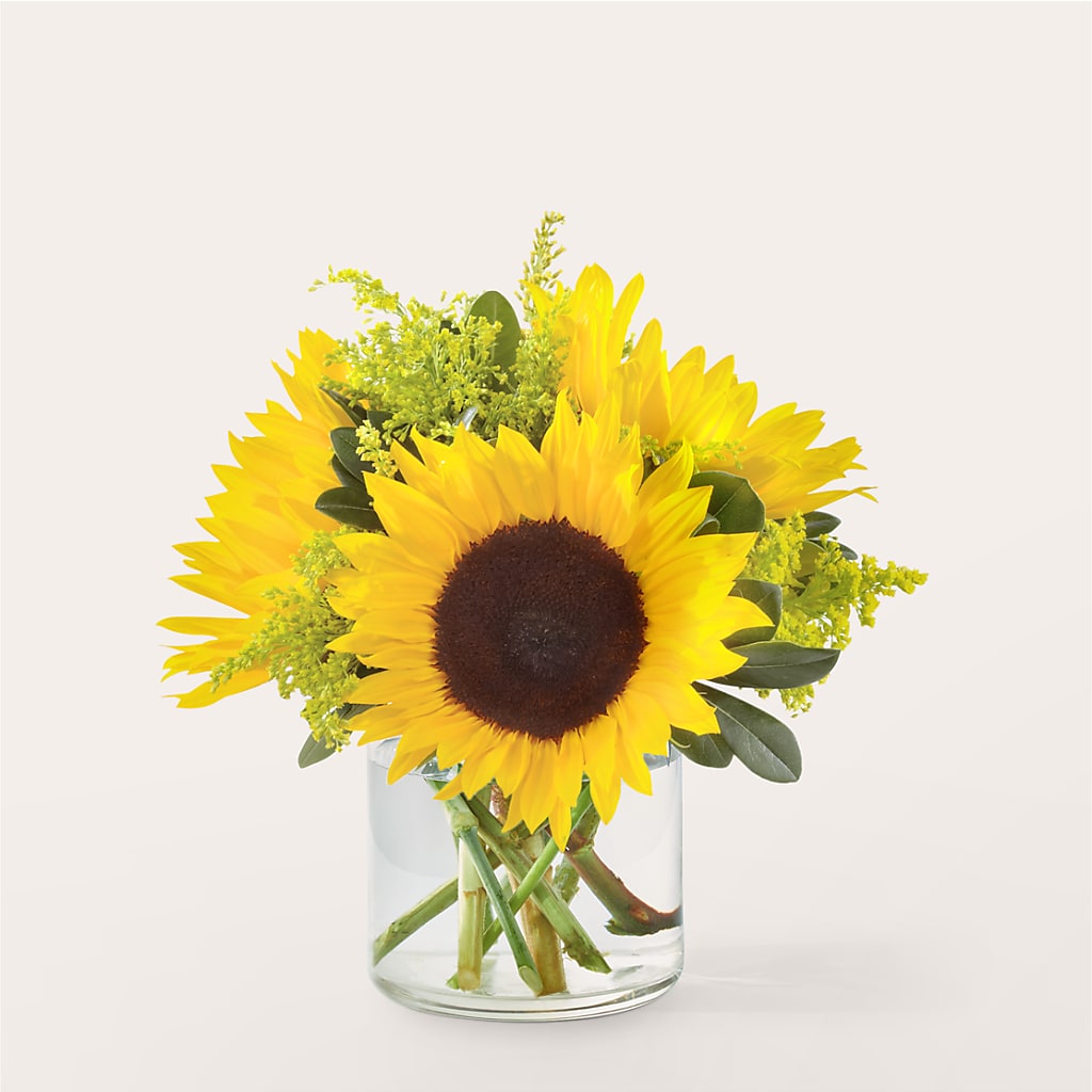 Beaming Sunflower Bouquet – ROSEMARY & PEPPER FLOWER CO, Gaylord MI