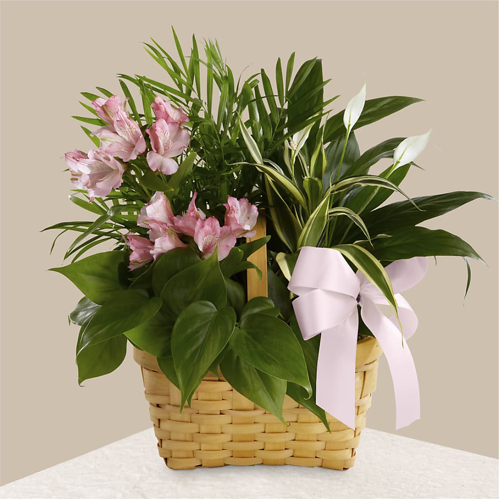 Living Spirit Dishgarden – ROSEMARY & PEPPER FLOWER CO, Gaylord MI