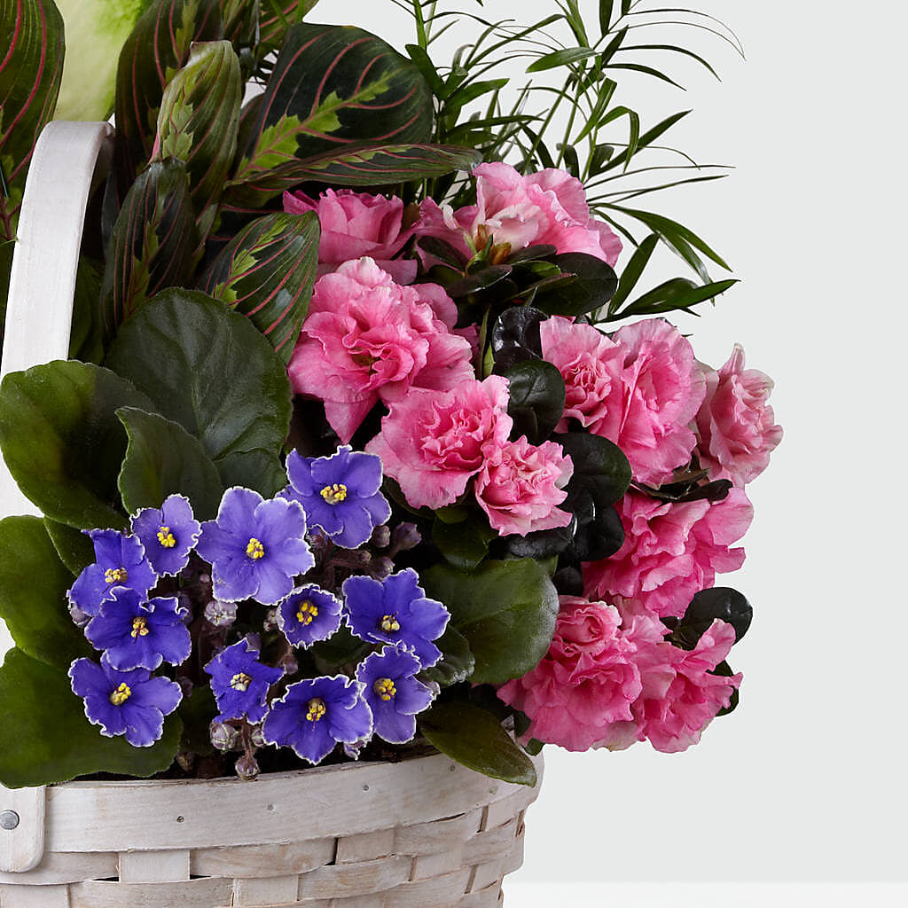 Peaceful Garden Planter – ROSEMARY & PEPPER FLOWER CO, Gaylord MI