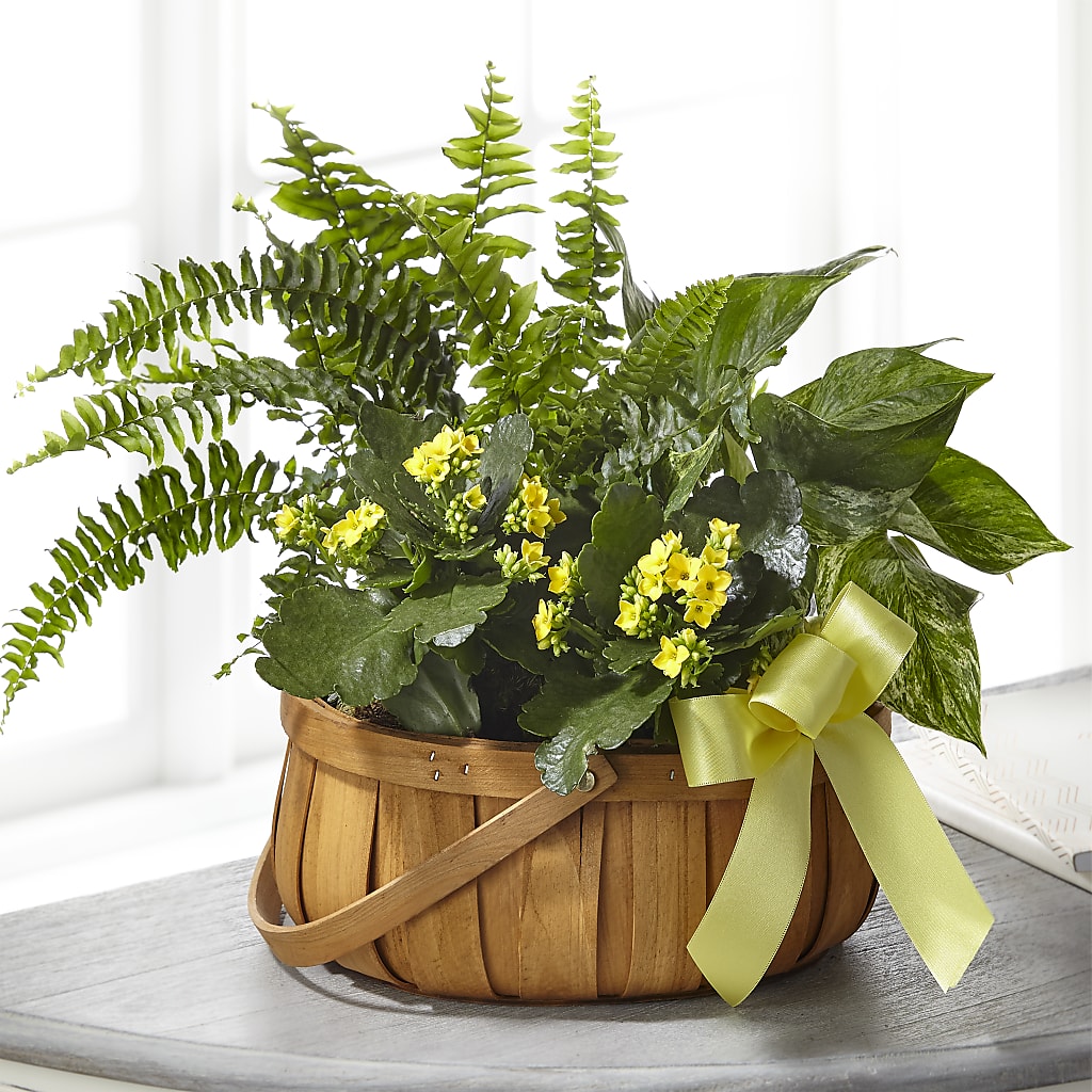 Always Dear Dishgarden – ROSEMARY & PEPPER FLOWER CO, Gaylord MI