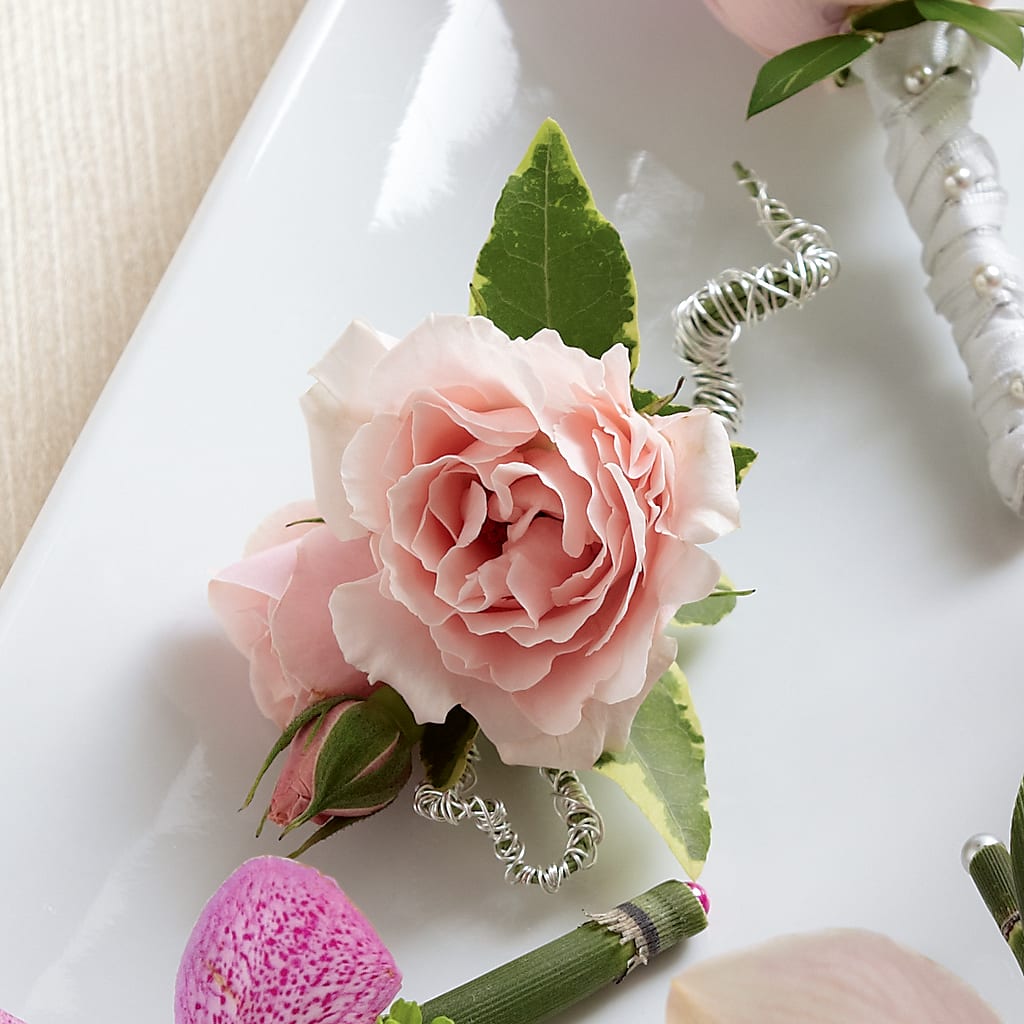 Pink Spray Rose Boutonniere – ROSEMARY & PEPPER FLOWER CO, Gaylord MI