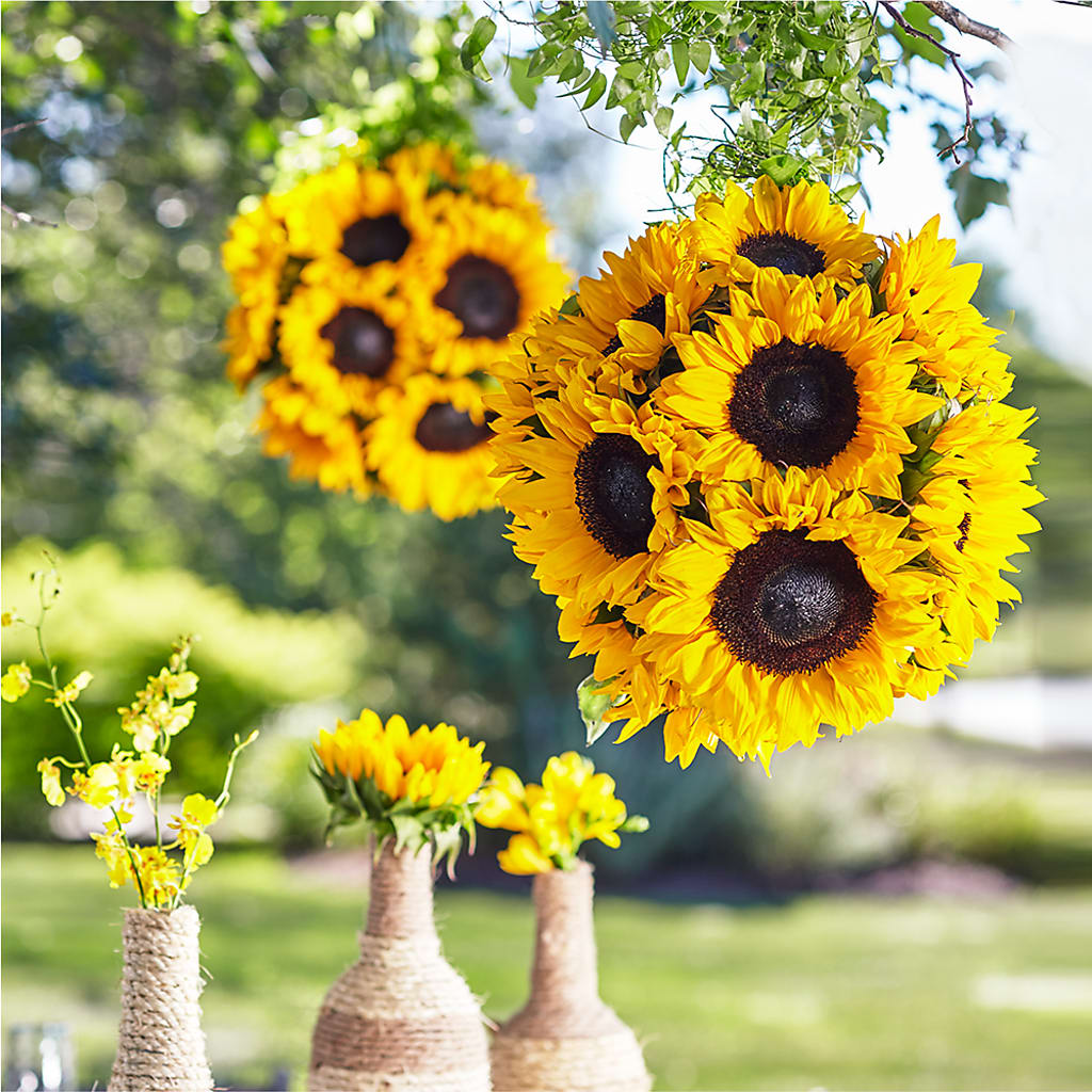 Sublime Garden Hanging Arrangement – ROSEMARY & PEPPER FLOWER CO, Gaylord MI