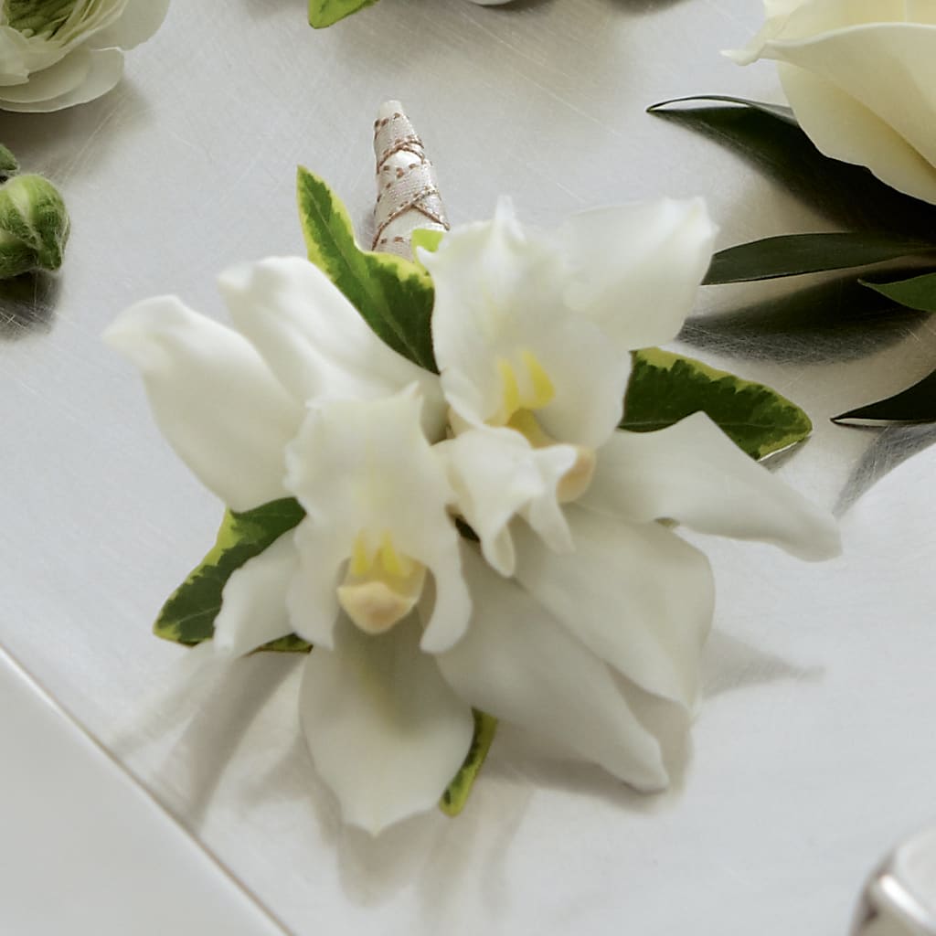 White Mini Cymbidium Boutonniere – ROSEMARY & PEPPER FLOWER CO, Gaylord MI