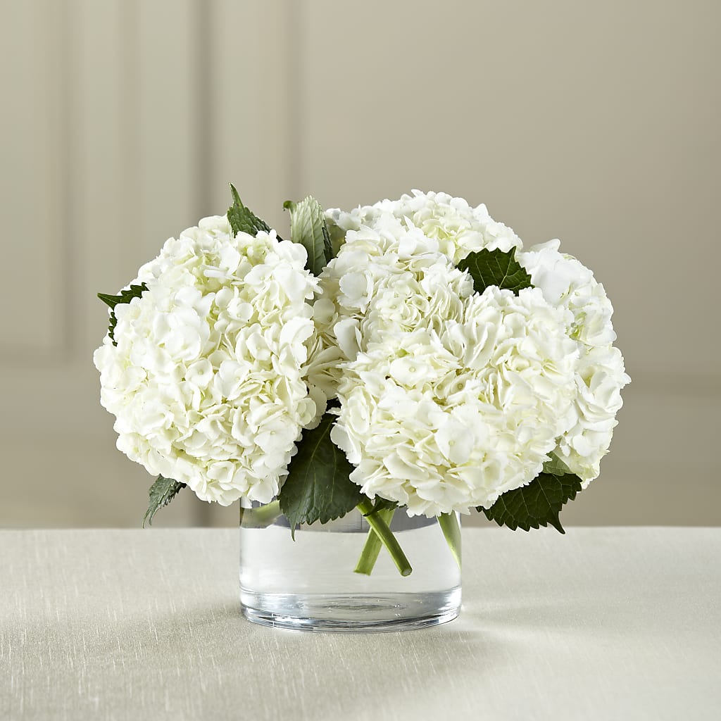 White Hydrangea Bouquet – ROSEMARY & PEPPER FLOWER CO, Gaylord MI