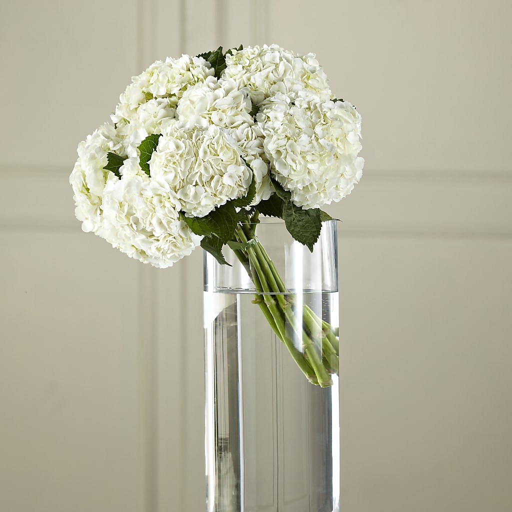 White Hydrangea Hand-Tied Bouquet – ROSEMARY & PEPPER FLOWER CO, Gaylord MI