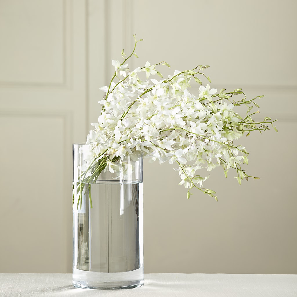 White Dendrobium Bouquet – ROSEMARY & PEPPER FLOWER CO, Gaylord MI