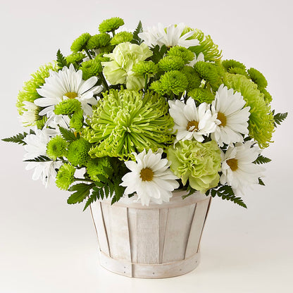 Lucky Charm Basket (Standard) – ROSEMARY & PEPPER FLOWER CO, Gaylord MI