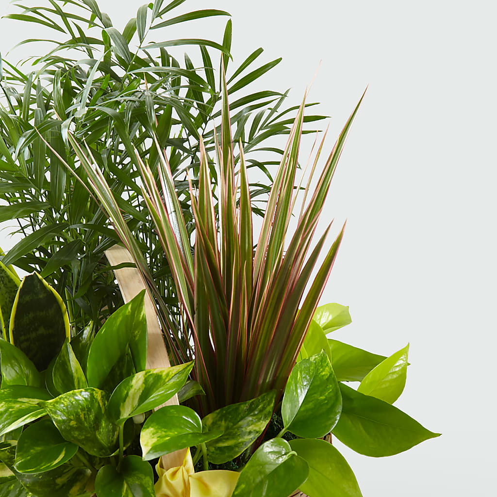 French Garden – ROSEMARY & PEPPER FLOWER CO, Gaylord MI