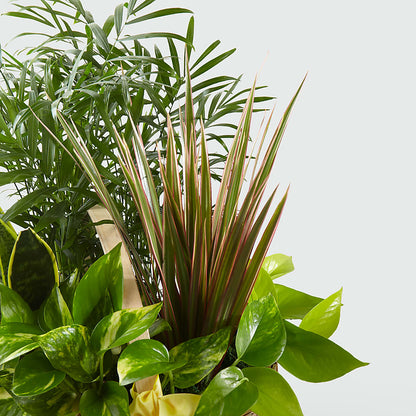 French Garden – ROSEMARY & PEPPER FLOWER CO, Gaylord MI