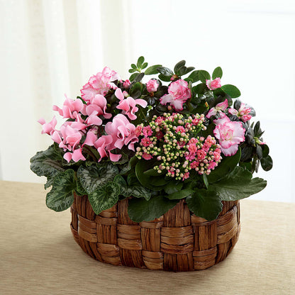 Pink Assortment – ROSEMARY & PEPPER FLOWER CO, Gaylord MI