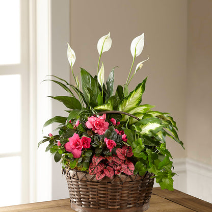 Dream in Pink Dishgarden – ROSEMARY & PEPPER FLOWER CO, Gaylord MI