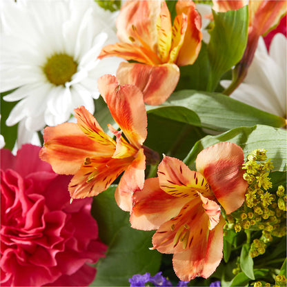 Oopsie Daisy Box Bouquet – ROSEMARY & PEPPER FLOWER CO, Gaylord MI