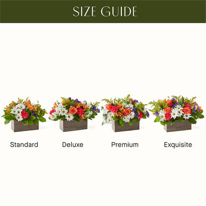 Oopsie Daisy Box Bouquet – ROSEMARY & PEPPER FLOWER CO, Gaylord MI