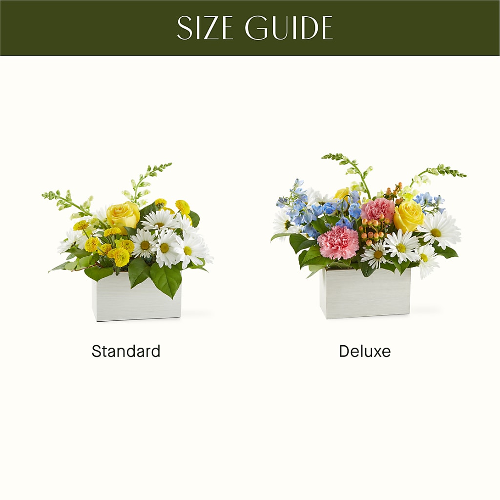 Sun Salutation Box Bouquet – ROSEMARY & PEPPER FLOWER CO, Gaylord MI