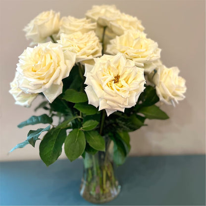 Long Stem Yellow Rose Bouquet – ROSEMARY & PEPPER FLOWER CO, Gaylord MI