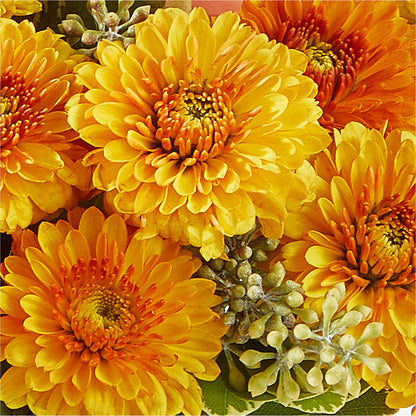Peachy Pumpkin – ROSEMARY & PEPPER FLOWER CO, Gaylord MI