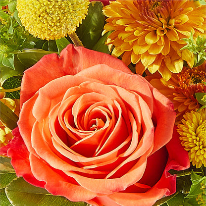 Gourdgeous Pumpkin – ROSEMARY & PEPPER FLOWER CO, Gaylord MI