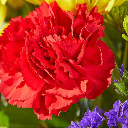Brighter Days Bouquet – ROSEMARY & PEPPER FLOWER CO, Gaylord MI