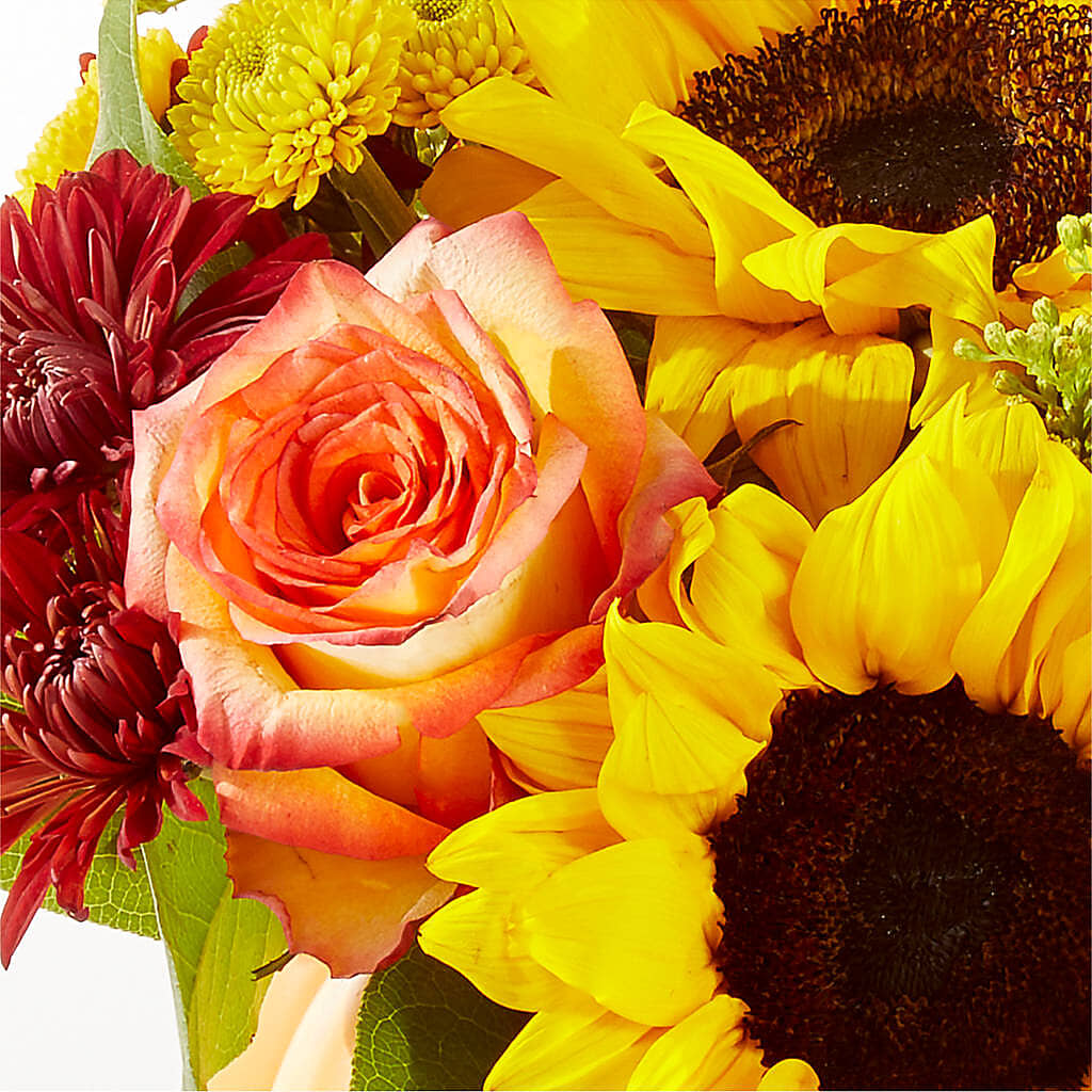 Golden Gourd Pumpkin Bouquet – ROSEMARY & PEPPER FLOWER CO, Gaylord MI