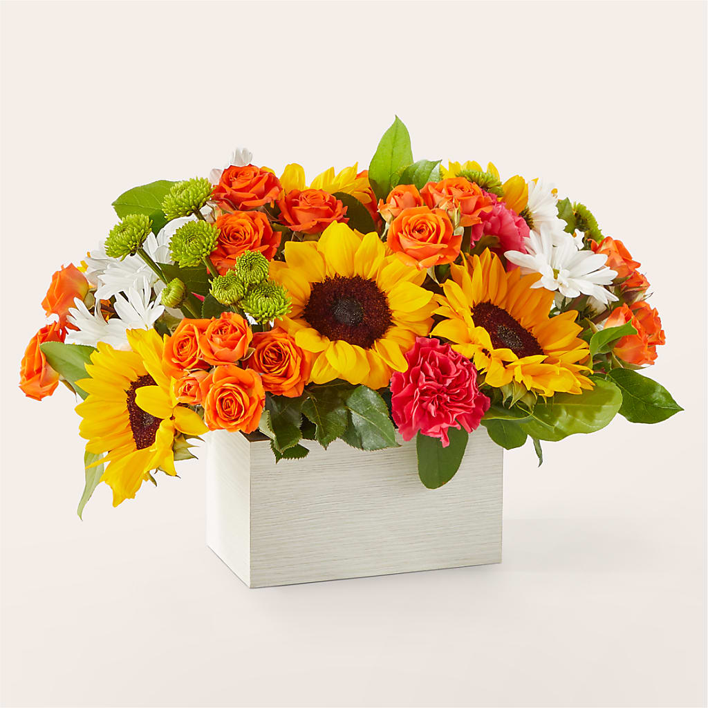 Sun-drenched Blooms Box Bouquet – ROSEMARY & PEPPER FLOWER CO, Gaylord MI
