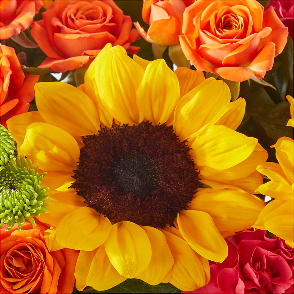 Sun-drenched Blooms Box Bouquet – ROSEMARY & PEPPER FLOWER CO, Gaylord MI
