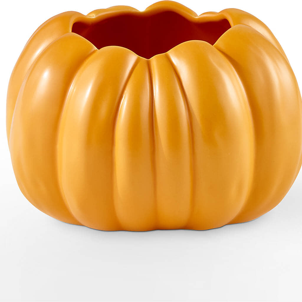 Golden Gourd Pumpkin Bouquet – ROSEMARY & PEPPER FLOWER CO, Gaylord MI