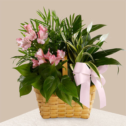 Living Spirit Dishgarden – ROSEMARY & PEPPER FLOWER CO, Gaylord MI