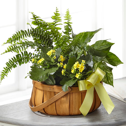 Always Dear Dishgarden – ROSEMARY & PEPPER FLOWER CO, Gaylord MI