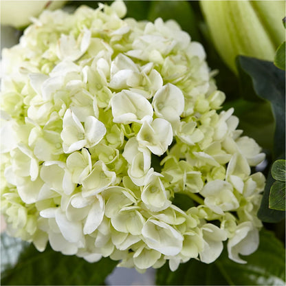 Classic Ivory – A Florist Original – ROSEMARY & PEPPER FLOWER CO, Gaylord MI