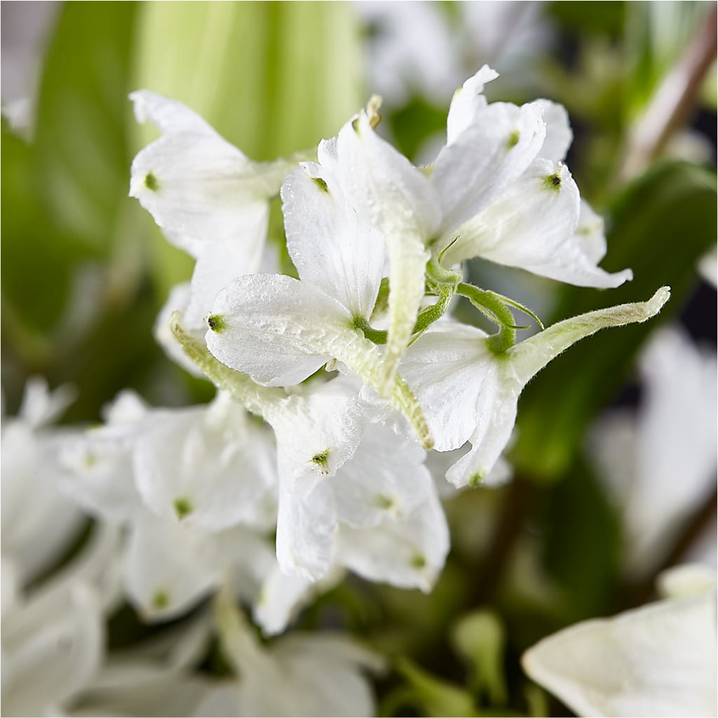 Classic Ivory – A Florist Original – ROSEMARY & PEPPER FLOWER CO, Gaylord MI