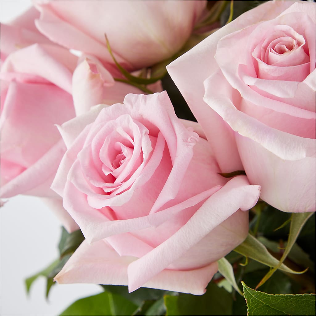 Picture Perfect Pink Rose Bouquet – ROSEMARY & PEPPER FLOWER CO, Gaylord MI