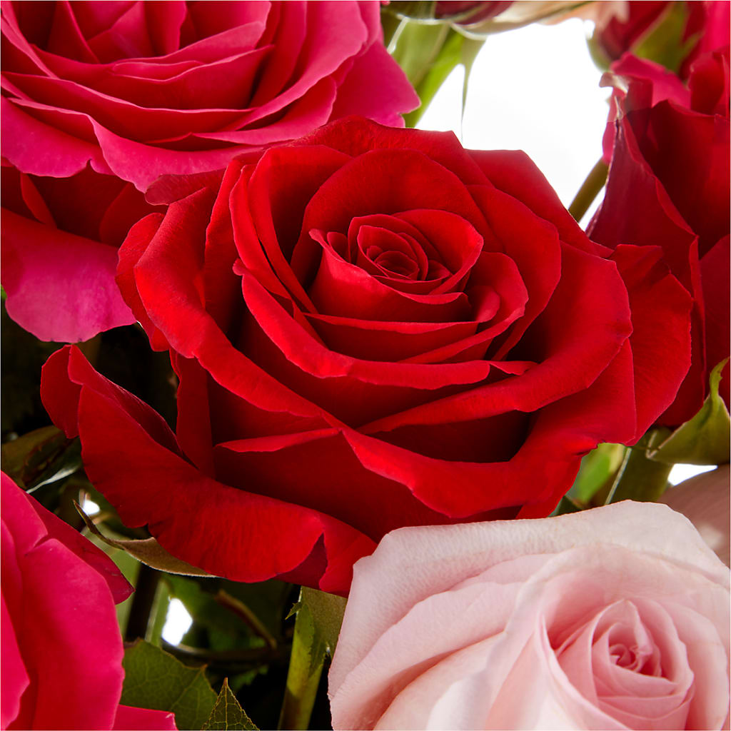 Love Notes Rose Bouquet – ROSEMARY & PEPPER FLOWER CO, Gaylord MI