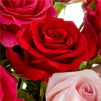 Love Notes Rose Bouquet – ROSEMARY & PEPPER FLOWER CO, Gaylord MI