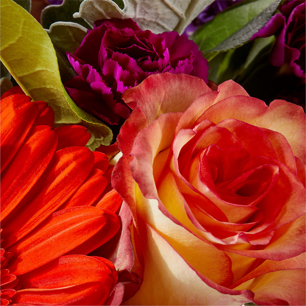 Sangria Bouquet – ROSEMARY & PEPPER FLOWER CO, Gaylord MI