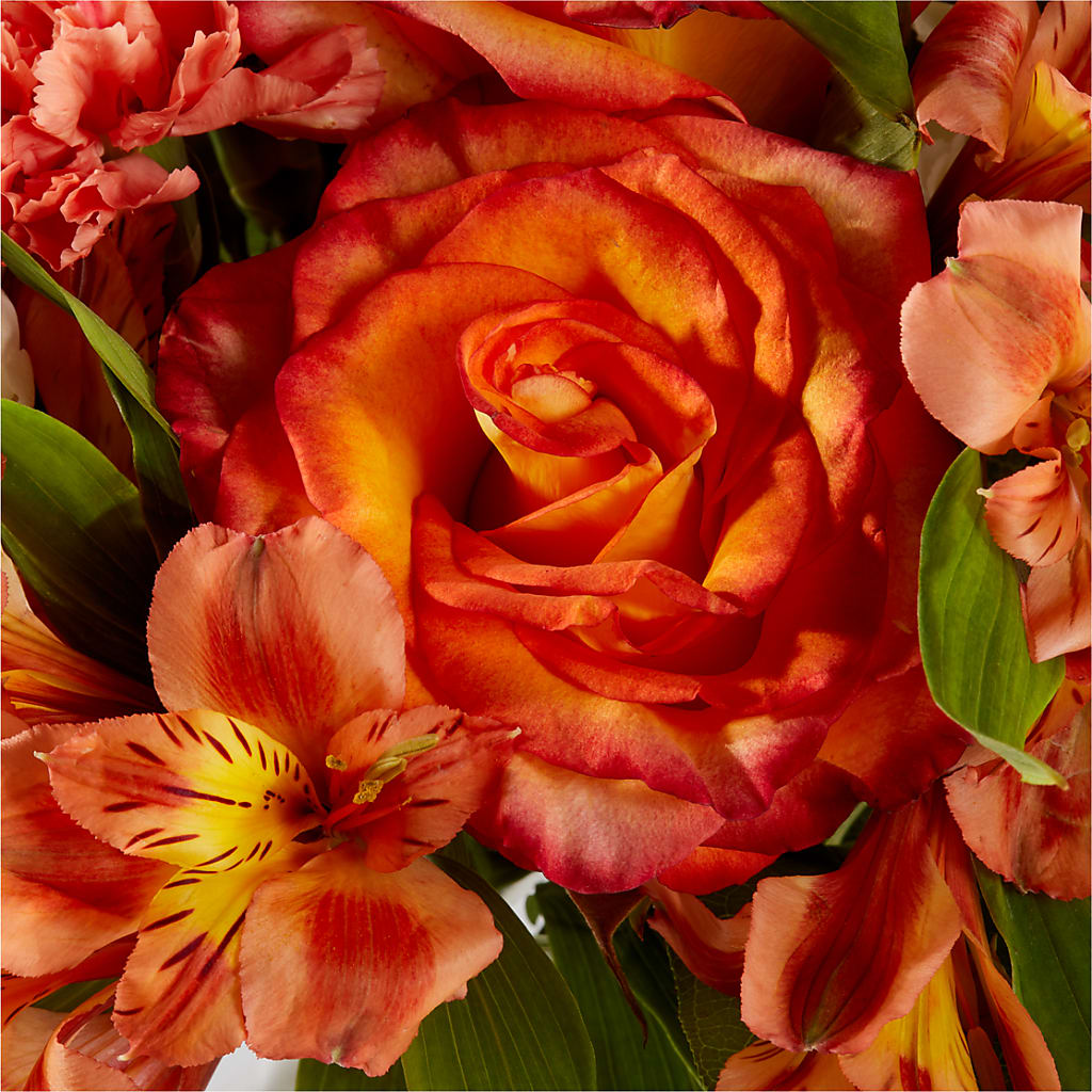 Apricot Glow Bouquet – ROSEMARY & PEPPER FLOWER CO, Gaylord MI