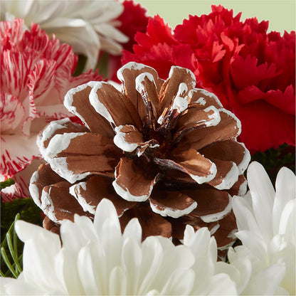 Candy Cane Lane Bouquet – ROSEMARY & PEPPER FLOWER CO, Gaylord MI