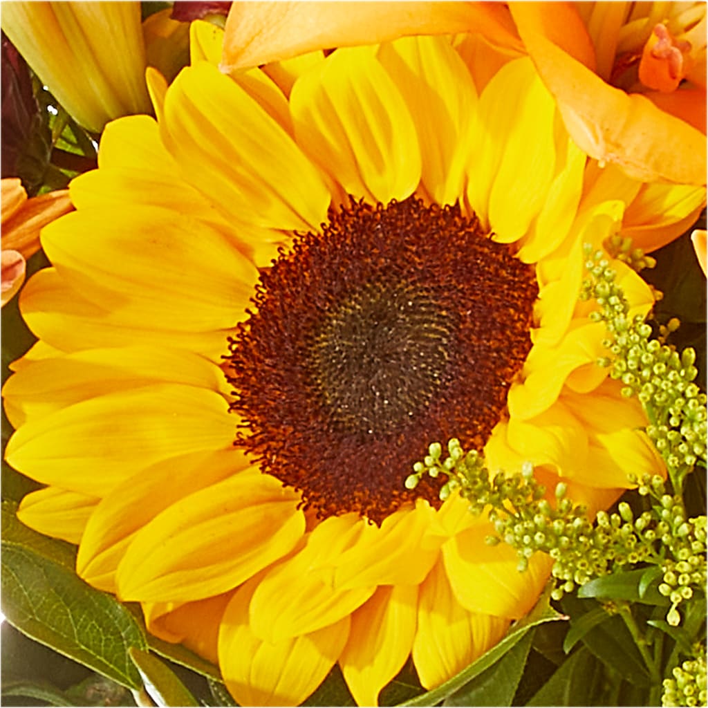 Seasons Change Bouquet – ROSEMARY & PEPPER FLOWER CO, Gaylord MI