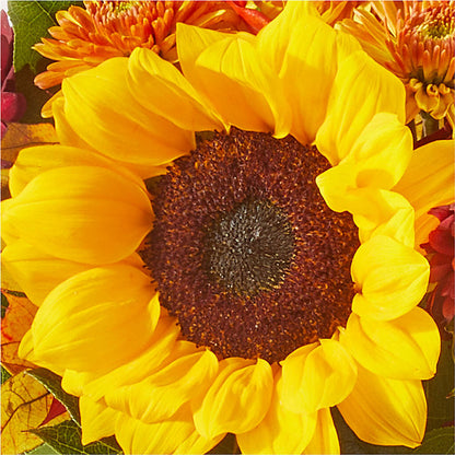 Sunny Side Bouquet – ROSEMARY & PEPPER FLOWER CO, Gaylord MI