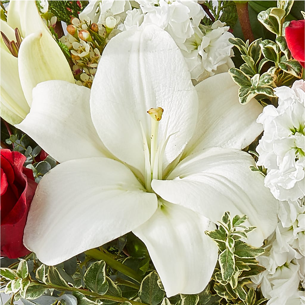 Twinkle Lights Bouquet – ROSEMARY & PEPPER FLOWER CO, Gaylord MI