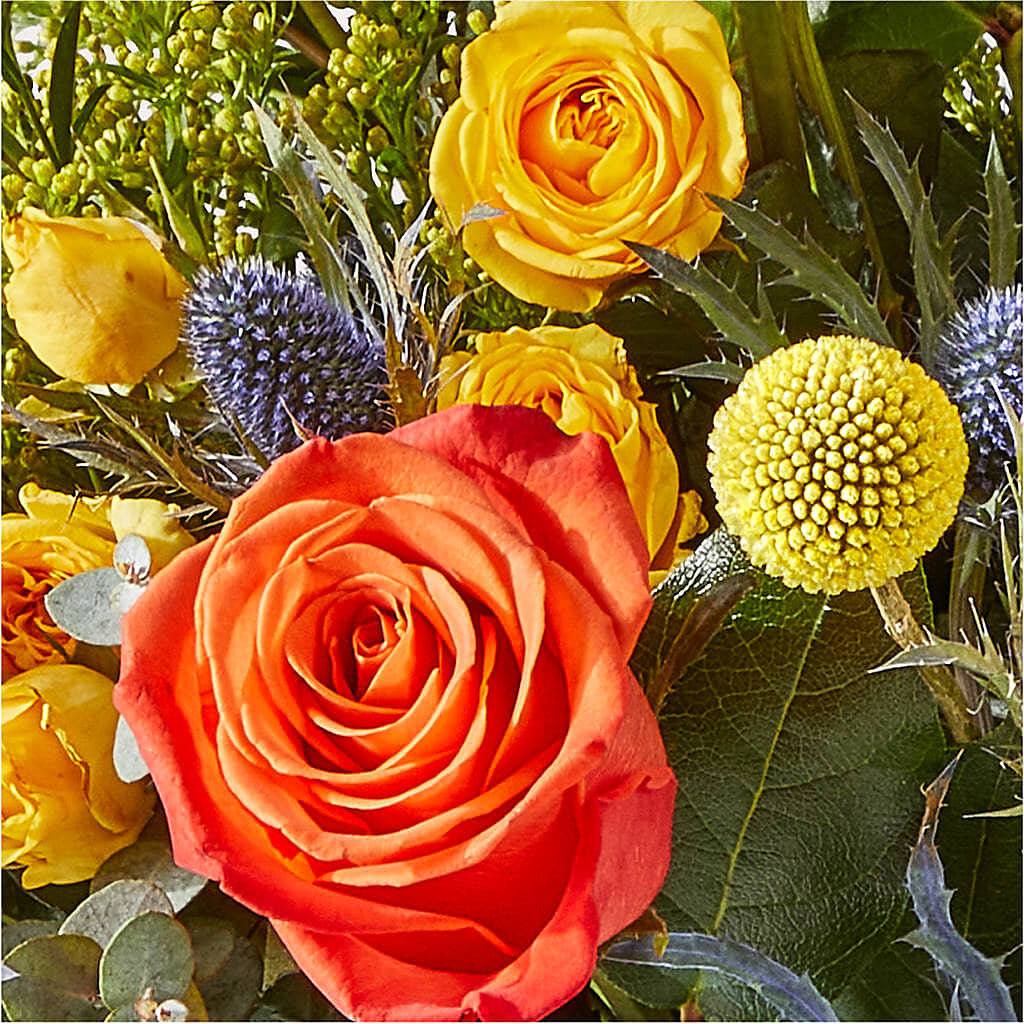 Disco Bouquet – ROSEMARY & PEPPER FLOWER CO, Gaylord MI