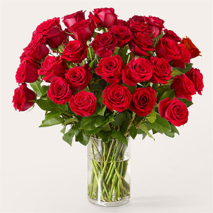The One Red Rose Bouquet – ROSEMARY & PEPPER FLOWER CO, Gaylord MI