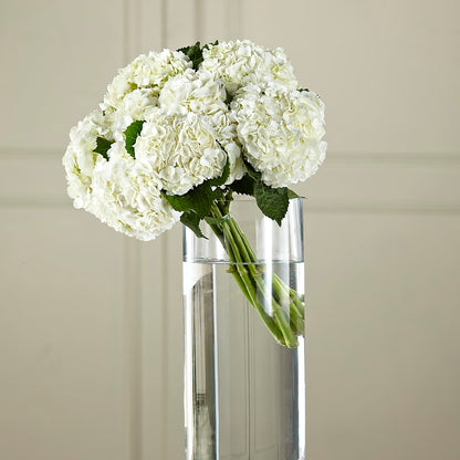 White Hydrangea Hand-Tied Bouquet – ROSEMARY & PEPPER FLOWER CO, Gaylord MI